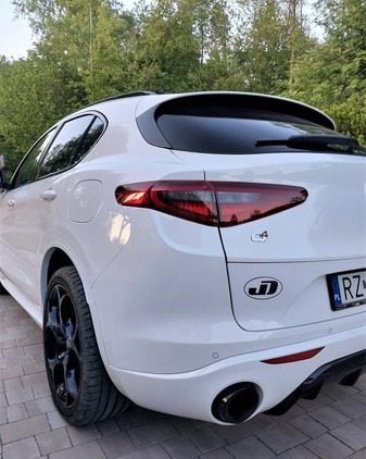 Alfa Romeo Stelvio cena 189000 przebieg: 11000, rok produkcji 2023 z Rzeszów małe 667